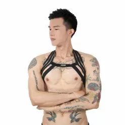 Cosplay&ware Men Halter Neck Nightclub Performance Lingerie Body Chest Harness Bondage Costume Party Hollow Elastic Clothing Super Hot -Zentai shop online Men Halter Neck Nightclub Performance Lingerie Body Chest Harness Bondage Costume Party Hollow Out Elastic Clothing 3.jpg 640x640q80 3.jpg 3